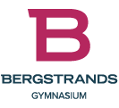 Bergstrands VUX