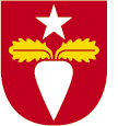 Burlövs kommun, Ung i Burlöv