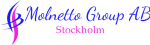 Molnetto Group AB
