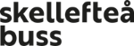 Skellefteå buss